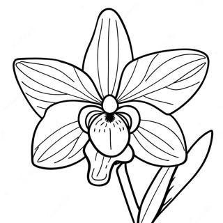 Sunnitmain Pink Aarkidd Rngul Peejii 120557 55281