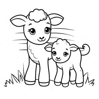 Beebii Gorre Mriyu Tlli Rngul Peejii 127530-61146