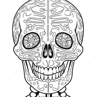 Maanv Knddr Shriir Shaastrn Rngul Peejii 69120 15131