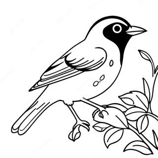 Oriyool Rngul Peejii 99393-38207