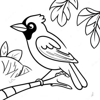 Prkaashvntmain Pkss Feathers Too Oriyool Rngul Peejii 99397-38029