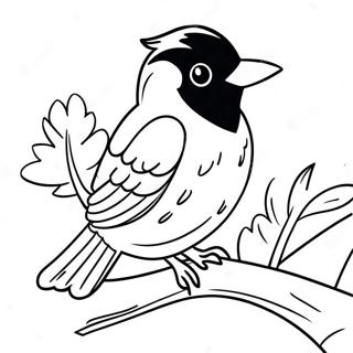 Prkaashvntmain Pkss Feathers Too Oriyool Rngul Peejii 99397-38222