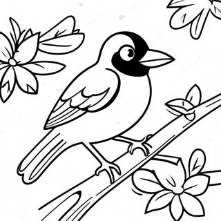 Prkaashvntmain Pkss Feathers Too Oriyool Rngul Peejii 99397-38223